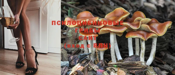 стафф Верхний Тагил